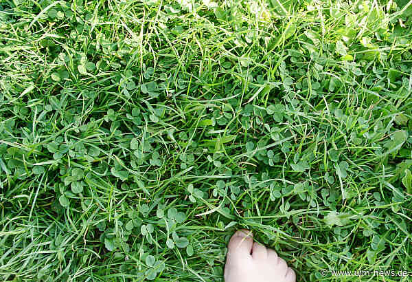 Wie stark helfen Grüne Anleihen der Umwelt?