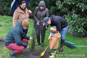 Geboortebos uitgebreid met 300-tal bomen, peuters helpen mee: “Ook voor broertje dat op komst is”