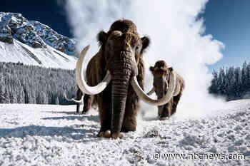 OpenAI teases generative model that can show mammoths in motion and literally anything else