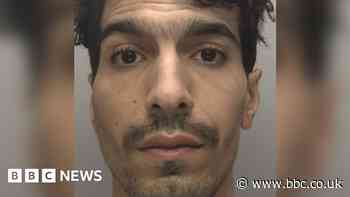 Hamza Faide jailed for attacking dog walker in Hull park