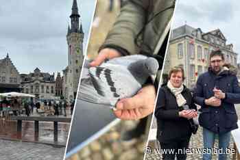 Oudste duivenmarkt van het land is weer van start gegaan