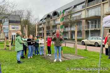 Essen vernieuwt vier buurtspeelpleintjes: veilig klimmen, balanceren en glijden in buitenlucht