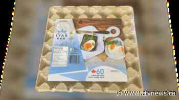 These 4 egg brands have been recalled due to salmonella