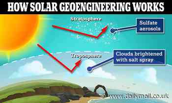 Six cutting-edge technologies that could reverse global warming: From dumping WHALE POOP in the sea to engineering CLOUDS to block out sun