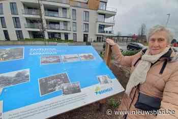 Gedenkplaat eert Bocholtse scheepswerf en familie Savelkoul