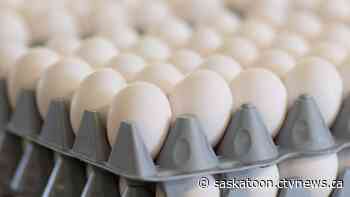 Four Sask. egg brands recalled over possible salmonella contamination