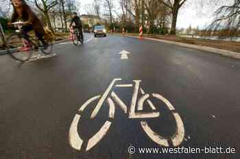 Darum gibt es an der Brunnenallee keinen Schutzstreifen für Radfahrer
