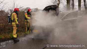 112-nieuws: automotor in brand • dode pup tussen afval