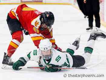 Eliminated: Huskie women sidelined until U Sports hockey nationals