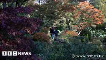 City's botanical gardens to rehome birds