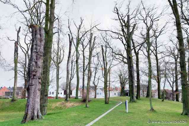 Achterpark van Liedtskasteel afgesloten voor rooien zieke bomen