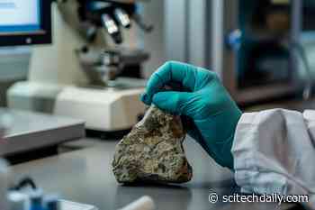 Reviving Ancient Skills to Solve Prehistoric Puzzles