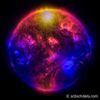 Unlocking Solar Secrets: Will the Next Solar Maximum Solve the Puzzle of the Sun’s Gamma-Ray Picture?