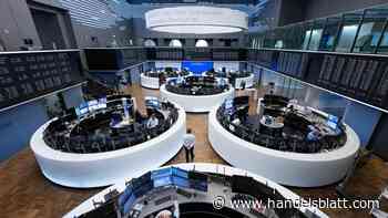 Interview: „Wir haben keine Blasenbildung – in den Markt kann sogar noch mehr Luft rein“