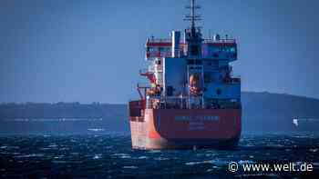 „Der überdimensionierte LNG-Ausbau ist nicht erforderlich“