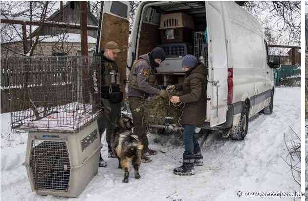 Zwei Jahre Ukraine-Krieg: 15.000 gerettete Tiere, 1.500 Tonnen Nahrung, 1.300 sichere Plätze für Tiere und eine Tierklinik | Einblick in PETAs größtes karitatives Tiernothilfeprojekt
