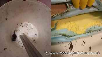 Rat infestation leads to fines and bans for food factory owners