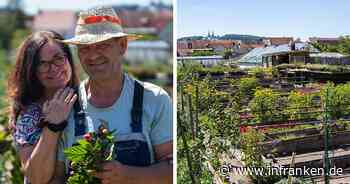 Bamberger "Hofstadt-Gärtnerei" schließt - jetzt läuft ein großer Räumungsverkauf