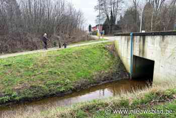 Genk legt nieuwe beek aan, parallel met Stiemerbeek