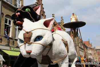 Je communiefoto bij een reuzekat? Ieper houdt “unieke” fotoshoot voor Kattenstoet