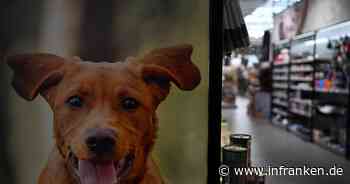 Bei Haustieren wird weniger gespart - Fressnapf im Plus