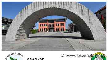 Libelle oder Wappen? Frisch oder förmlich? Der Gemeinderat Stephanskirchen ist zwiegespalten