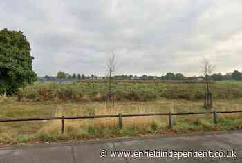 Man in hospital after dangerous dog attack in Enfield park