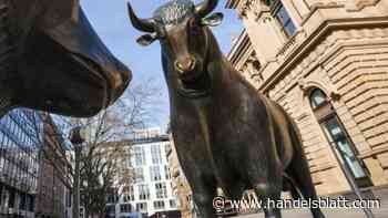 Dax-Umfrage: „Hier braut sich ein kleines Börsenunwetter zusammen“