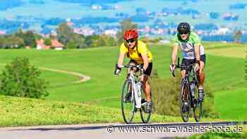 Rennrad und MTB: TV Ebhausen  bietet  jetzt auch Radsport