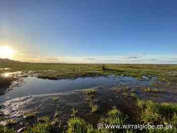 New consultation on Hoylake beach management launched