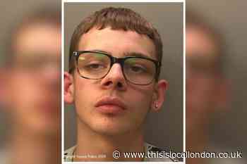 South London predator raped young girl in park
