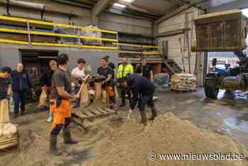 Gemeente wil vrijwilligerskorps oprichten: “Van onschatbare waarde”