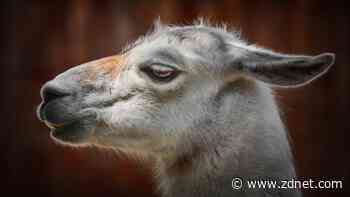 I tested Meta's Code Lama with 3 AI coding challenges that ChatGPT aced - and it wasn't good