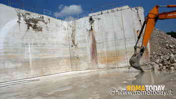 "Spariti 70 cani in un mese", animalisti presentano denuncia