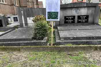 Geluk groeit op het kerkhof in Zoersel
