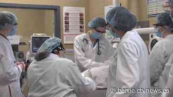 Georgian College vet clinic offers hands-on learning and affordable services