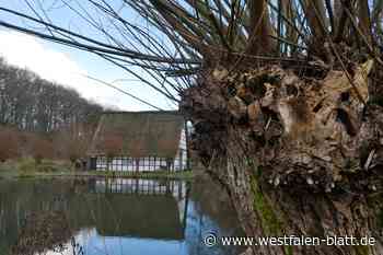 Löhner Rürupsmühle wird für die Saison vorbereitet