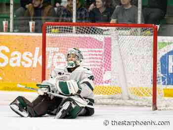 Unlucky bounce ends season for Hockey Huskies, who lose in OT to arch-rival Bears