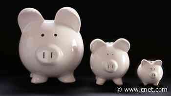 Microsavings: How Small Amounts Can Lead to Significant Financial Growth     - CNET