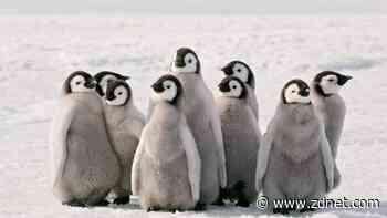 Thinking about switching to Linux? 10 things you need to know