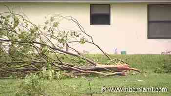 Severe storm damage in Broward was caused by EF0 tornado: NWS