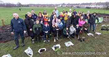 North East Community Forest to grow 5,000 new trees in region - with first new woodland planted