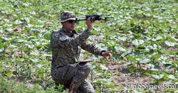 Canada to send Ukraine more than 800 drones built in Ontario: Blair