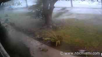 Caught on camera: WATCH moment tornado hits homes in Davie