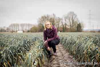 Mechelse boeren tevreden na beslissing stad om landbouwgrond te verkopen. “Een duidelijk signaal dat men ons wil steunen”