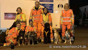 „Einmal kurz riechen reicht“: Wie Mantrailer-Hunde vermisste Personen aufspüren