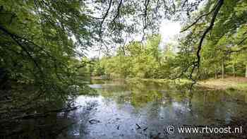 Belangen boeren en natuur botsen, LTO Noord kiest kant van boeren in gebied Springendal