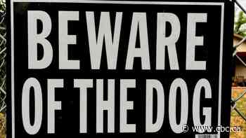 Months after a 'horrific mauling,' Toronto wants stiffer dog enforcement and rules