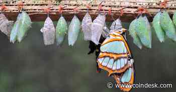 Bitcoin Options Trader Takes $20M Bet to Hedge Against Prices Dropping to $47K