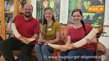 Sprechende Bäume und neuer Archaeopteryx: Das NaMu hat viel vor